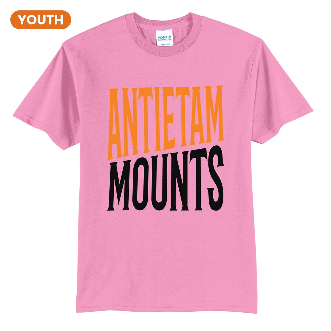 Antietam Mountaineers Block Stack youth t-shirt in Candy Pink: tall ANTIETAM stacked over MOUNTS in condensed block letters
