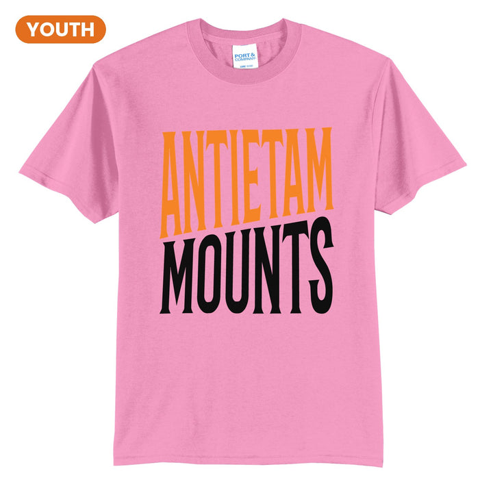 Antietam Mountaineers Block Stack youth t-shirt in Candy Pink: tall ANTIETAM stacked over MOUNTS in condensed block letters