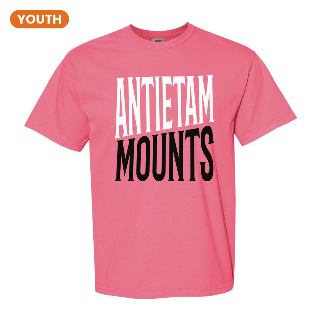 Antietam Mountaineers Block Stack youth comfort colors t-shirt in Crunchberry: tall ANTIETAM stacked over MOUNTS in condensed block letters