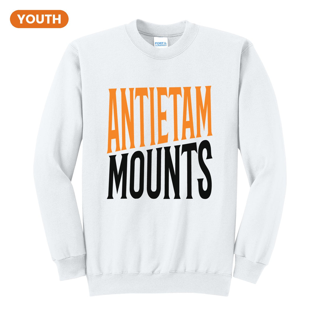 Antietam Mountaineers Block Stack youth crewneck sweatshirt in White: tall ANTIETAM stacked over MOUNTS in condensed block letters