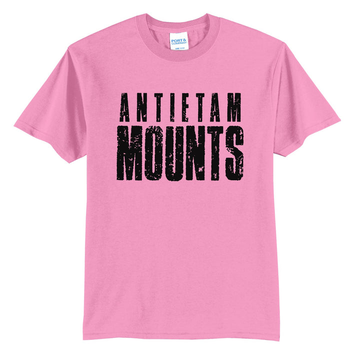 Antietam Mountaineers Distressed Block t-shirt in Candy Pink: ANTIETAM over tall, distressed MOUNTS lettering