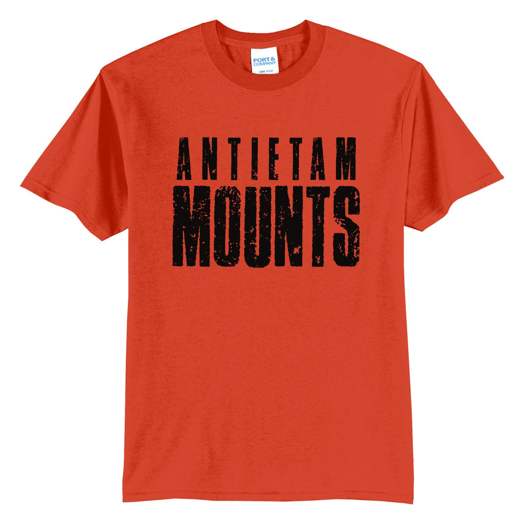 Antietam Mountaineers Distressed Block t-shirt in Orange: ANTIETAM over tall, distressed MOUNTS lettering