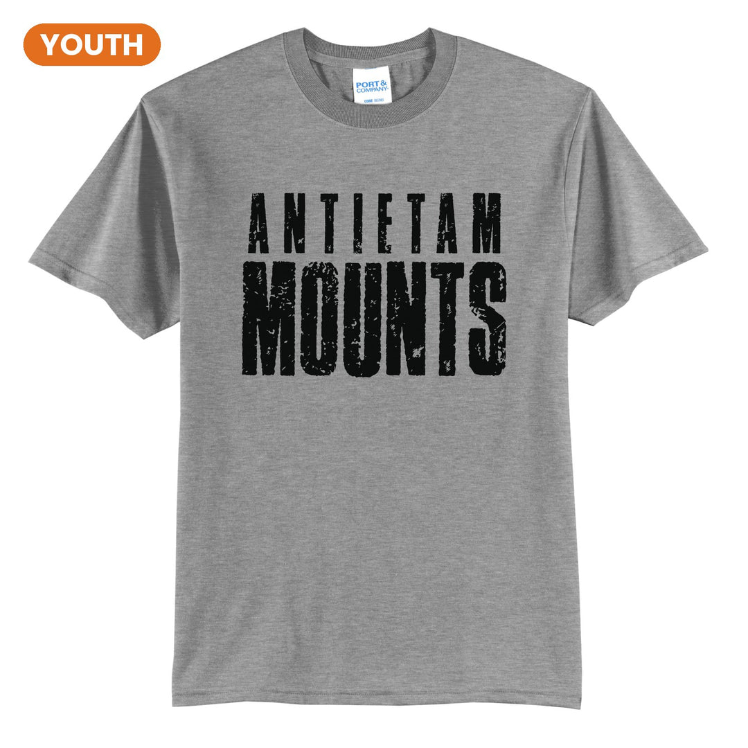 Antietam Mountaineers Distressed Block youth t-shirt in Athletic Heather: ANTIETAM over tall, distressed MOUNTS lettering