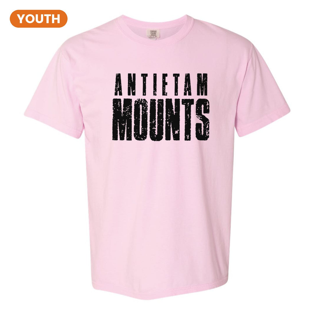 Antietam Mountaineers Distressed Block youth comfort colors t-shirt in Blossom: ANTIETAM over tall, distressed MOUNTS lettering