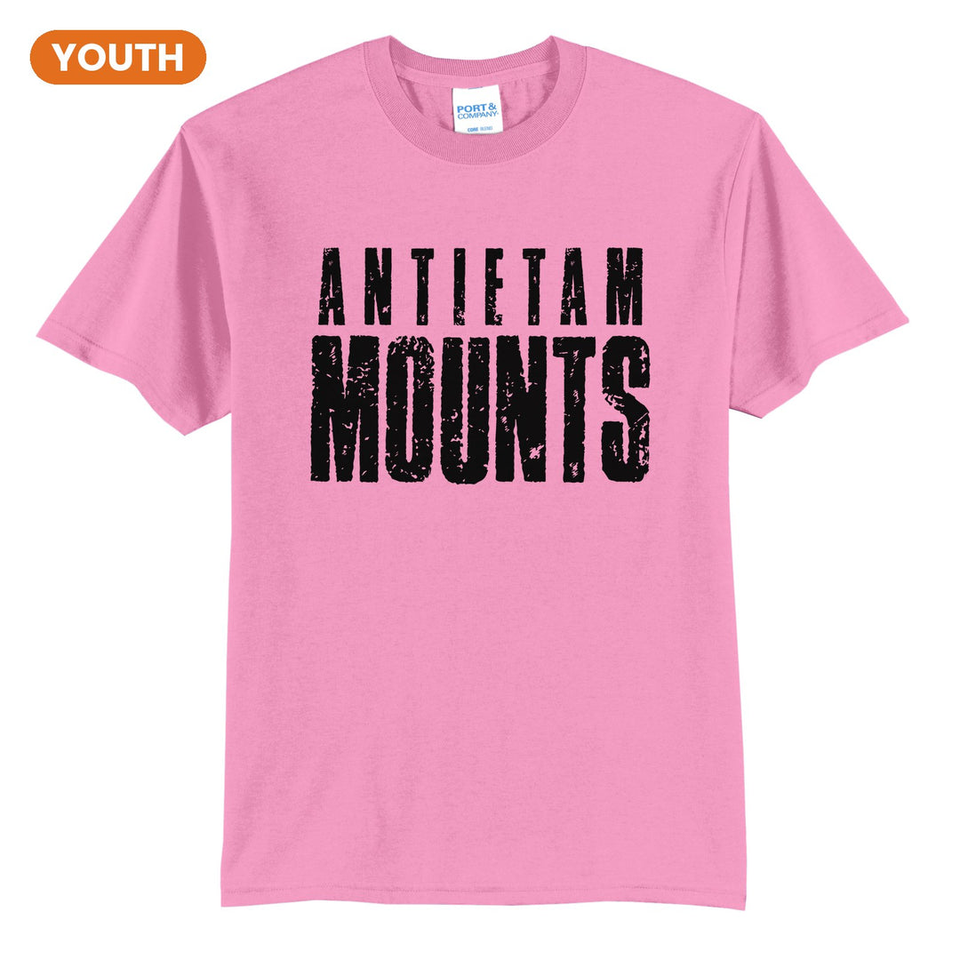 Antietam Mountaineers Distressed Block youth t-shirt in Candy Pink: ANTIETAM over tall, distressed MOUNTS lettering