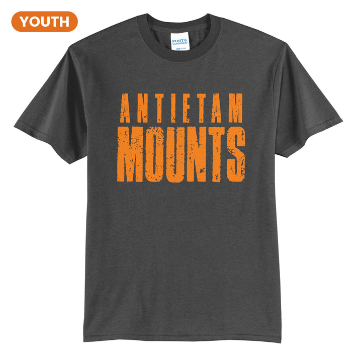 Antietam Mountaineers Distressed Block youth t-shirt in Charcoal: ANTIETAM over tall, distressed MOUNTS lettering