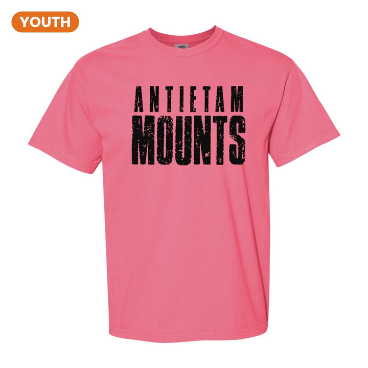 Antietam Mountaineers Distressed Block youth comfort colors t-shirt in Crunchberry: ANTIETAM over tall, distressed MOUNTS lettering