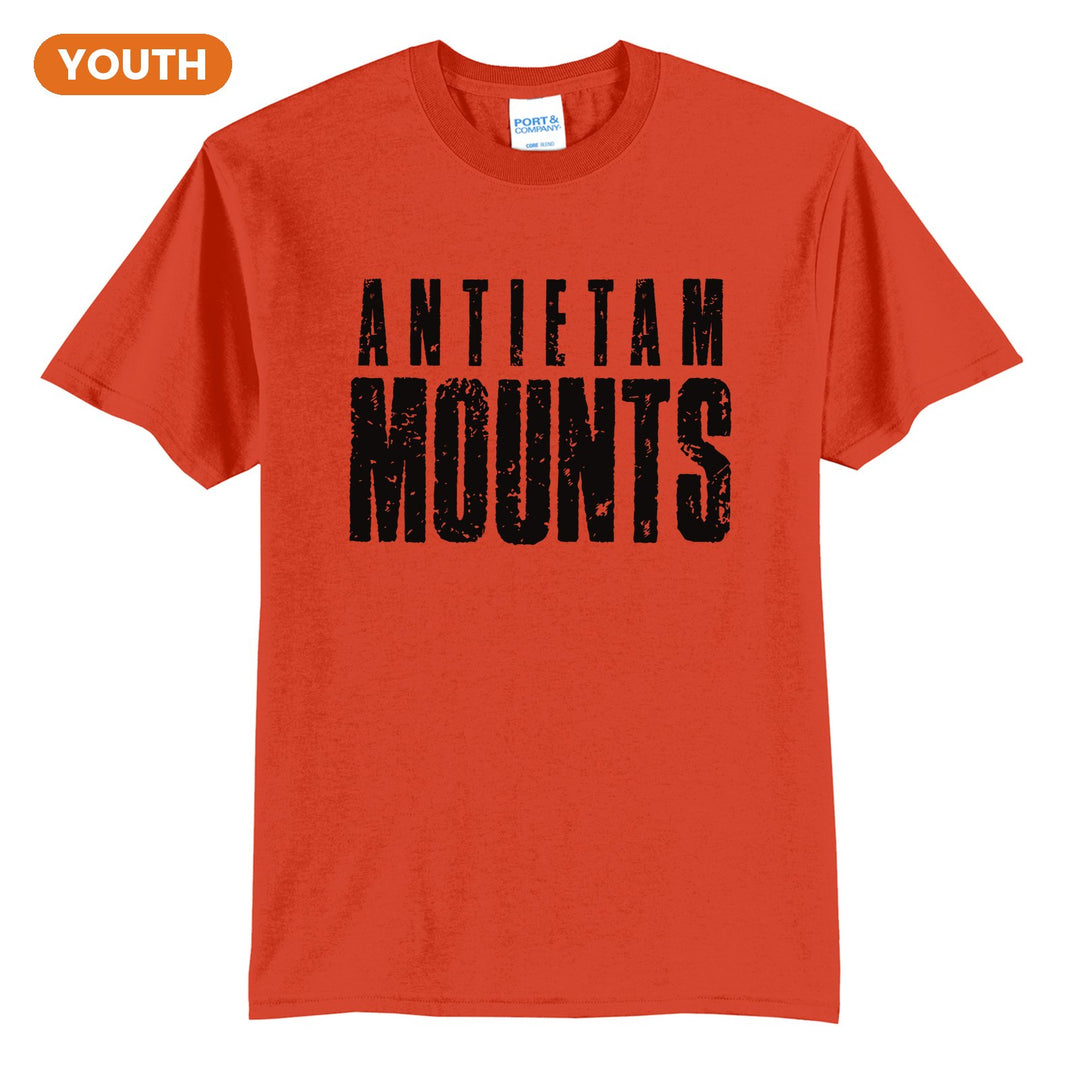 Antietam Mountaineers Distressed Block youth t-shirt in Orange: ANTIETAM over tall, distressed MOUNTS lettering