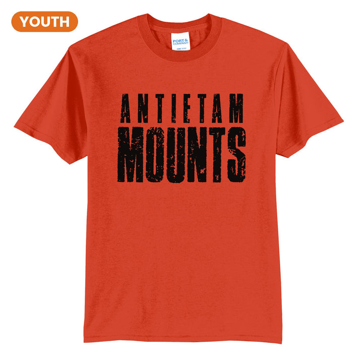 Antietam Mountaineers Distressed Block youth t-shirt in Orange: ANTIETAM over tall, distressed MOUNTS lettering