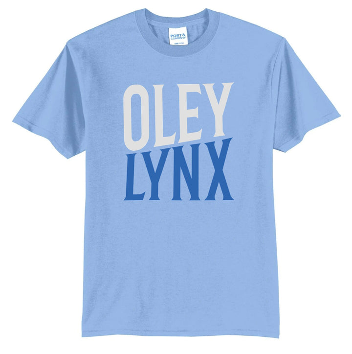 Example: light blue tee with white and royal blue two-tone block lettering